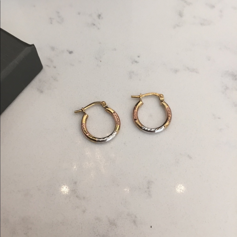 Elizabeth and James 18k gold plated earring